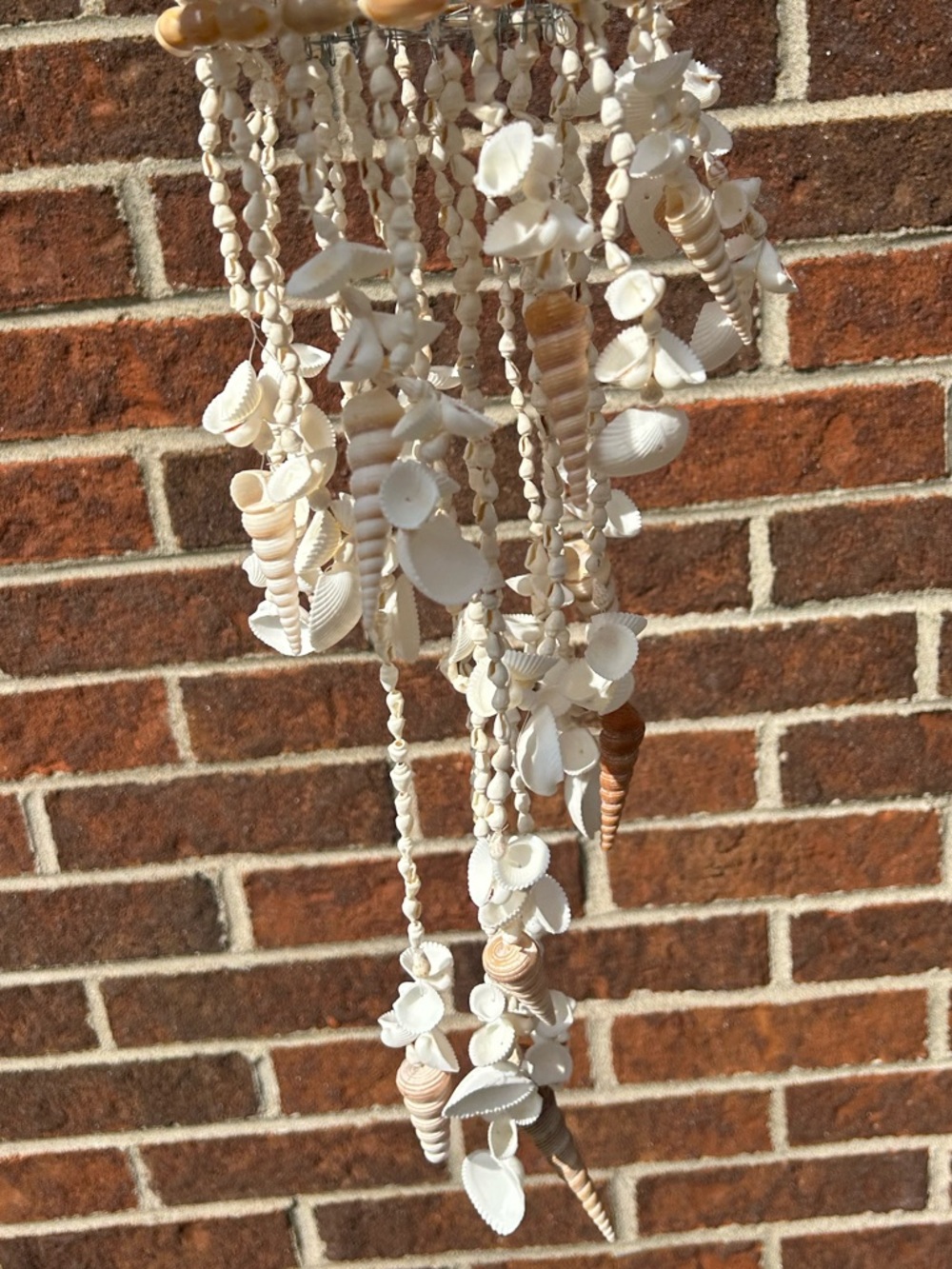Shell chandelier - Picture 11 of 16